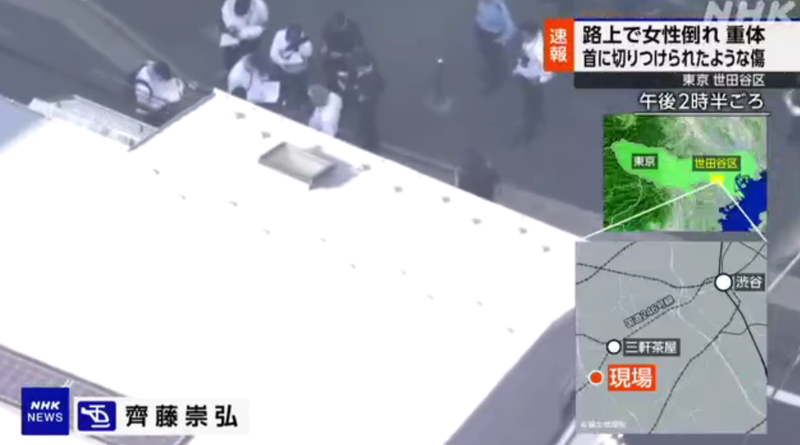 NHK 뉴스 화면 캡처