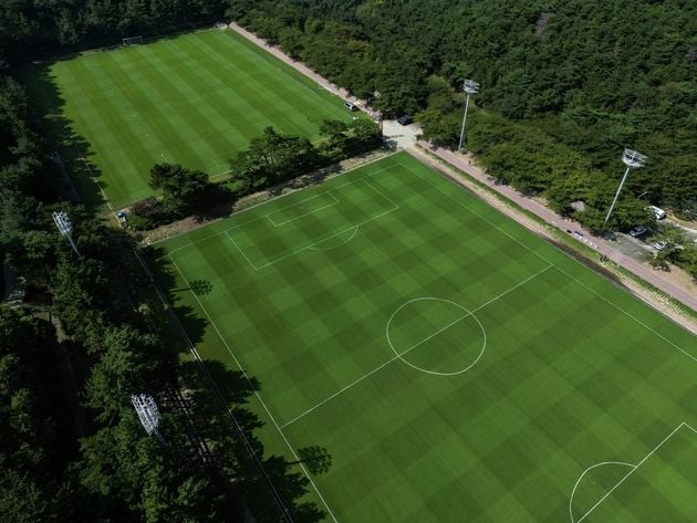 “난지형 잔디 성공 안착”…울산, 여름 훈련 내구성 입증 / 연합뉴스