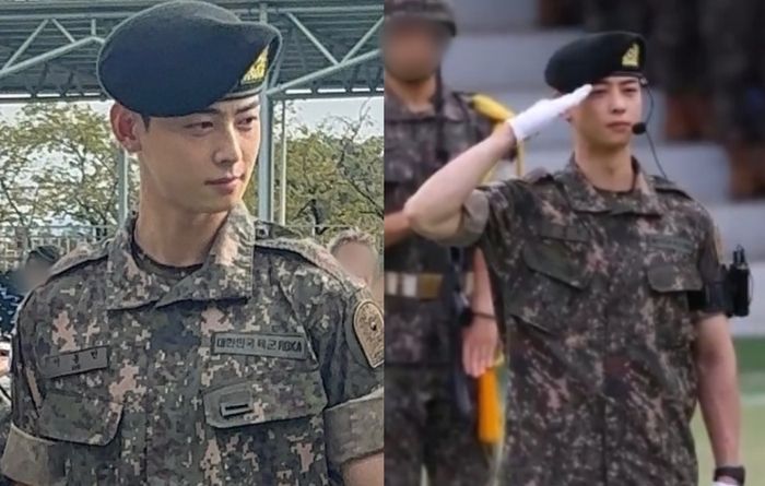 차은우 / 온라인 커뮤니티