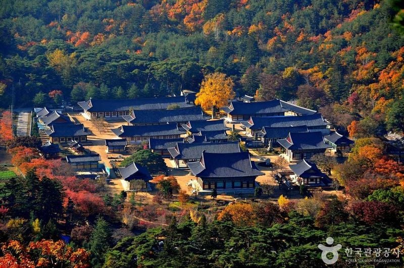 사진 = 포토코리아(한국관광공사) 청도 운문사