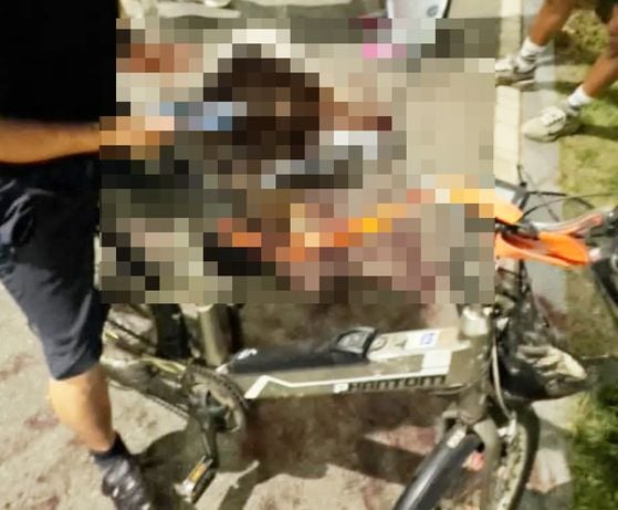 전기자전거에 매달고 달려 죽게 한 견주(출처=연합뉴스)