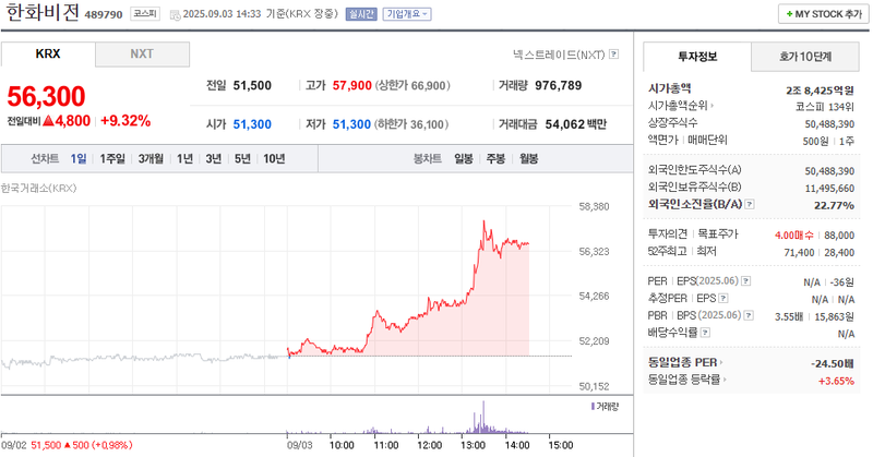 출처: 네이버페이증권 제공