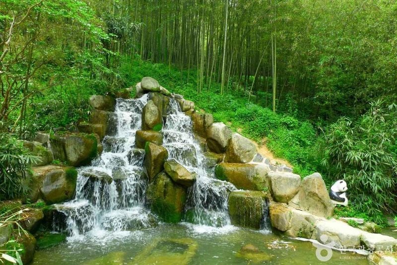 사진 = 포토코리아(한국관광공사) 죽녹원
