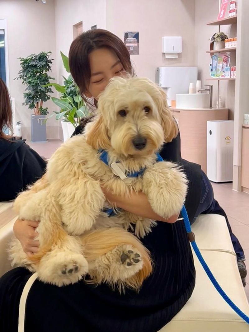 배우 지이수 인스타그램