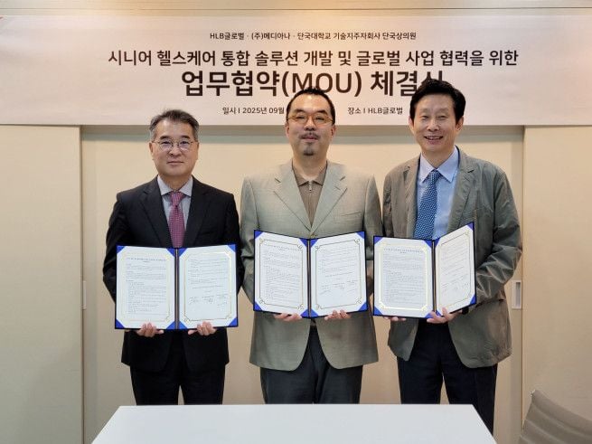 출처=HLB글로벌