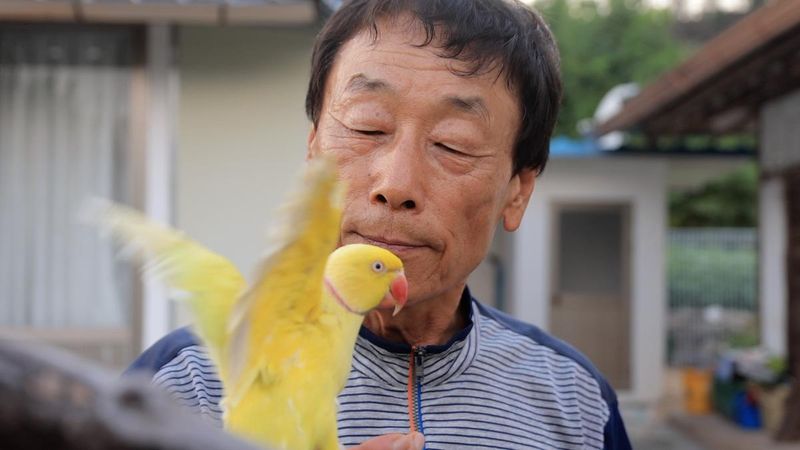 욕지도 신혼여행부터 잣떡의 꿈까지…‘EBS 한국기행’ 인생 단짝들, 삶을 다시 그리다→운명의 동행 / EBS