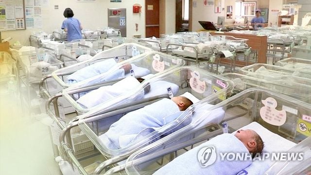 사진/연합뉴스