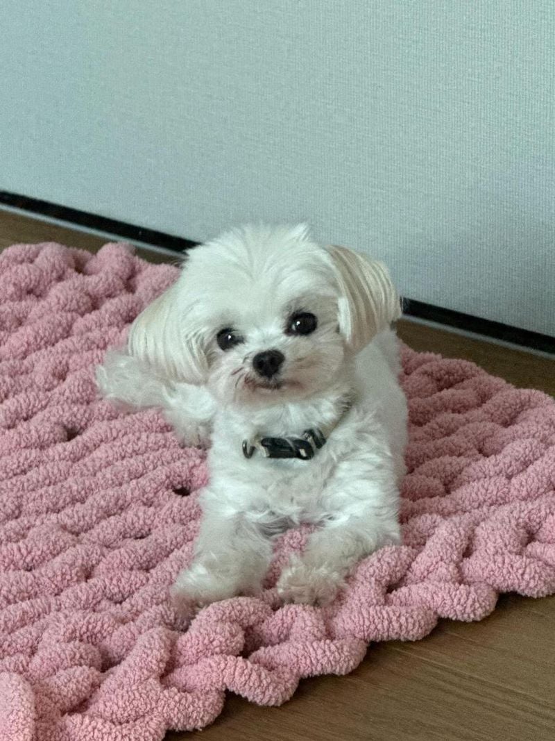 배우 남보라 인스타그램