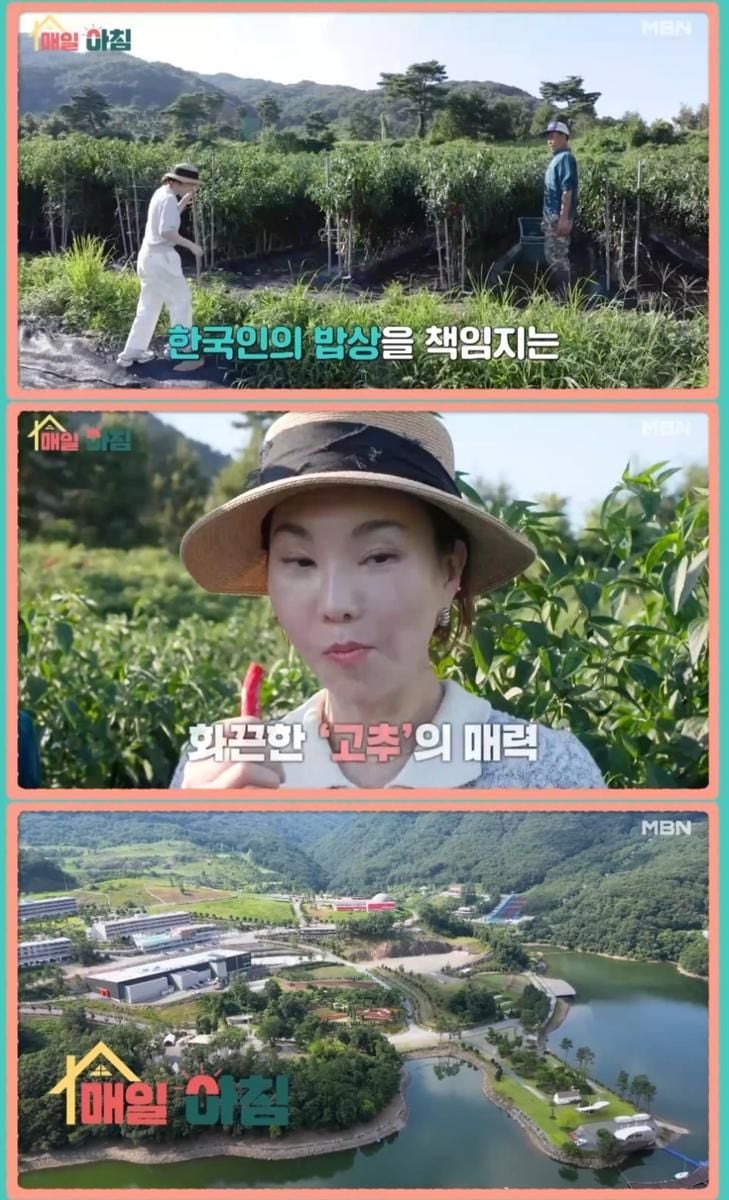 MBN ‘매일아침’ 방송 캡처