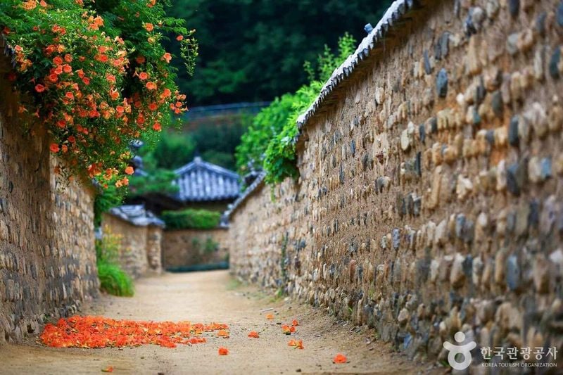사진 = 포토코리아(한국관광공사) 능소화피는 골목길