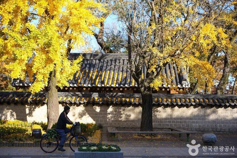 사진 = 포토코리아(한국관광공사) 전주한옥마을