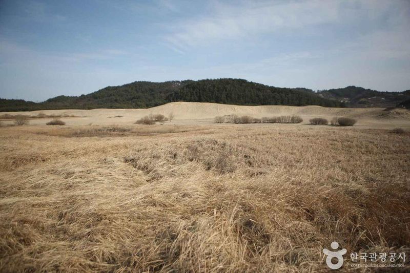 사진 = 포토코리아(한국관광공사) 태안 신두리 해안사구