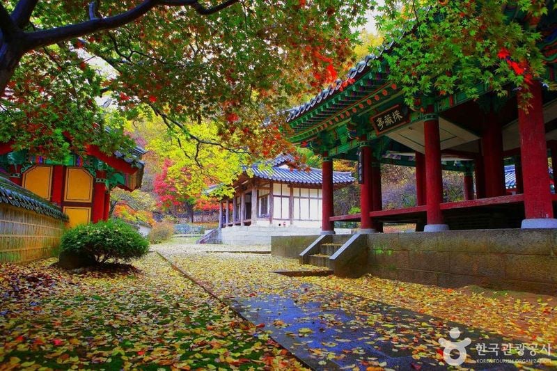 사진 = 포토코리아(한국관광공사) 금오산
