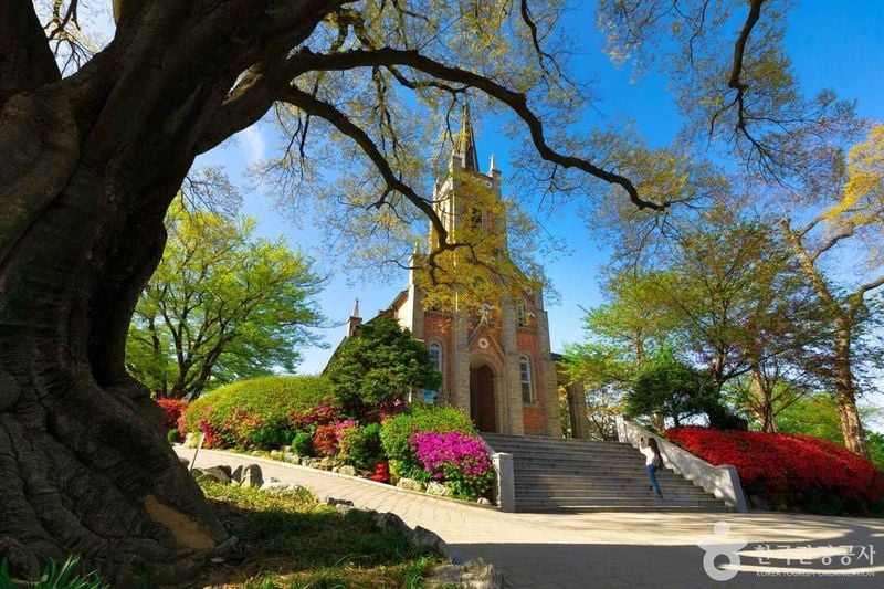 사진 = 포토코리아(한국관광공사) 공세리성당의 봄