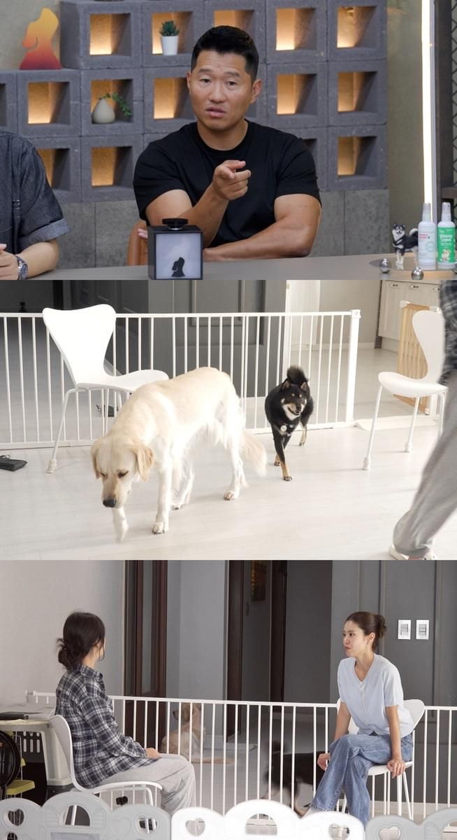 출처=채널A '개와 늑대의 시간'