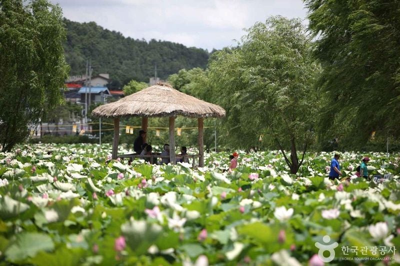 사진 = 포토코리아(한국관광공사) 부여