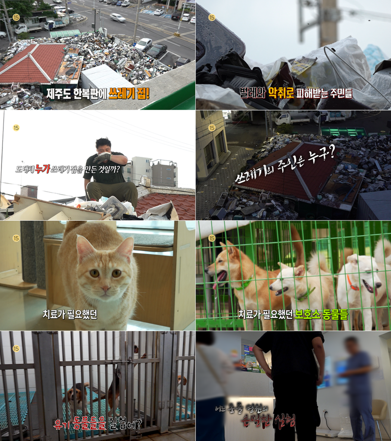 쓰레기 집의 진실과 동물병원 실험…‘실화탐사대’ 제주도 사건 추적→충격 실체 직면 / MBC
