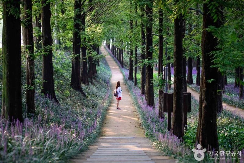 사진 = 포토코리아(한국관광공사) 광주