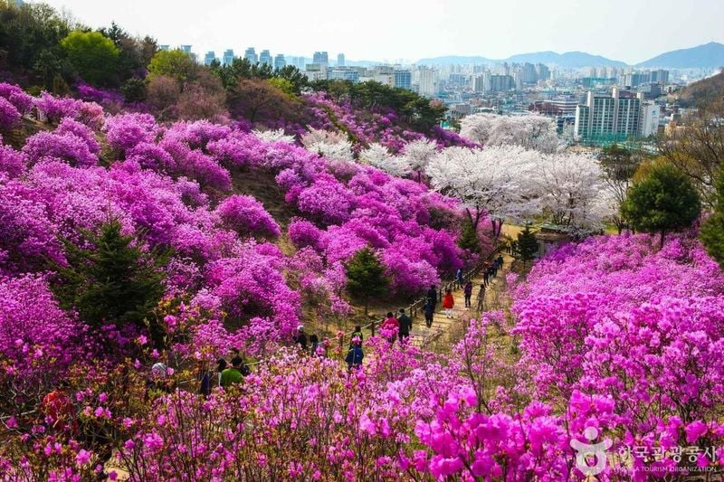 사진 = 포토코리아(한국관광공사) 부천 원미공원