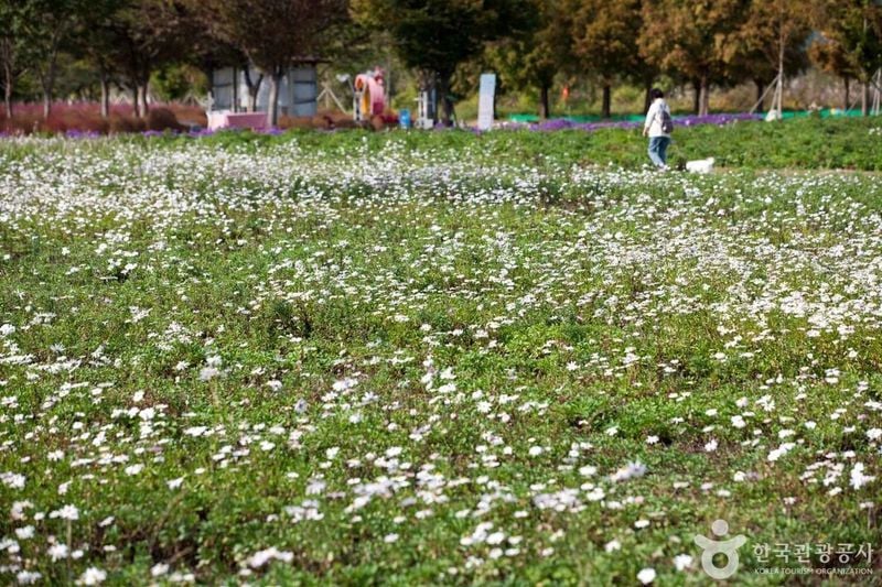 사진 = 포토코리아(한국관광공사) 의령