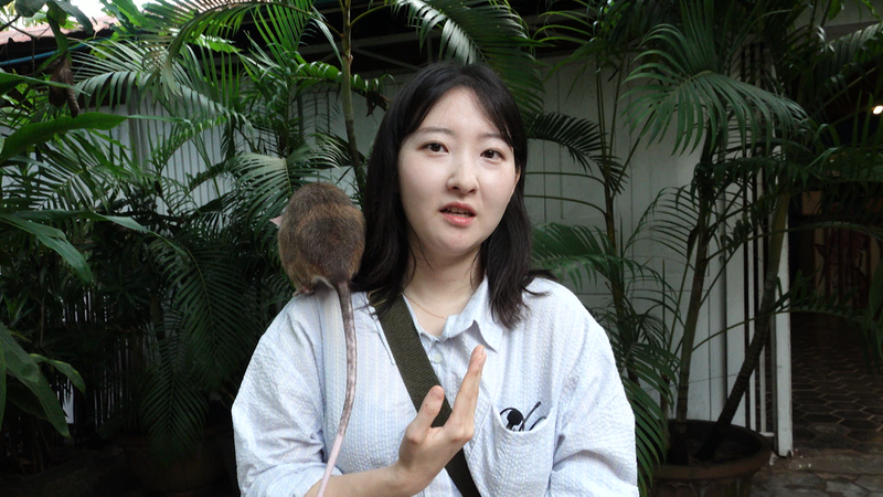 “휴전 그후 다시 긴장”…‘특파원보고 세계는 지금’ 캄보디아 지뢰 피해·카리브해 위기→국경의 삶을 묻다