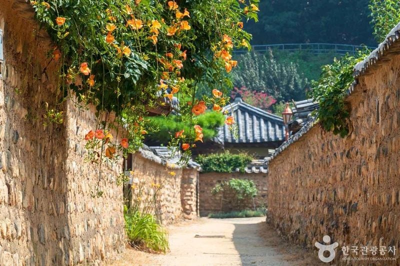 사진 = 포토코리아(한국관광공사) 대구