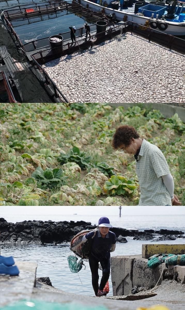 폭염과 가뽄의 동시 습격…‘PD수첩’ 기후 재난 현장, 오징어 실종→생존의 경계 드러내다 / MBC