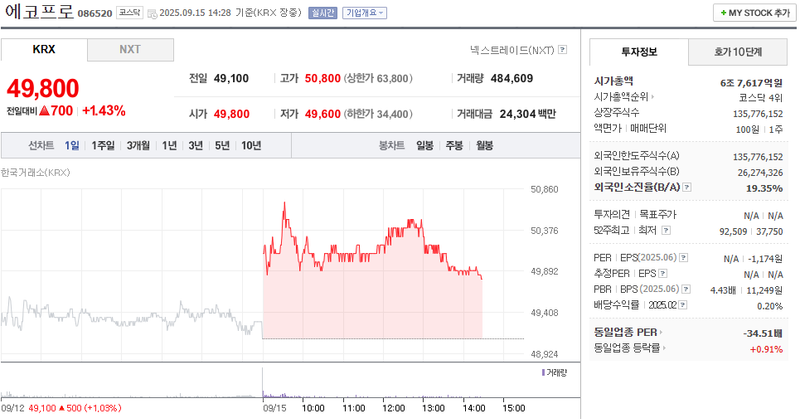 출처: 네이버페이증권 제공