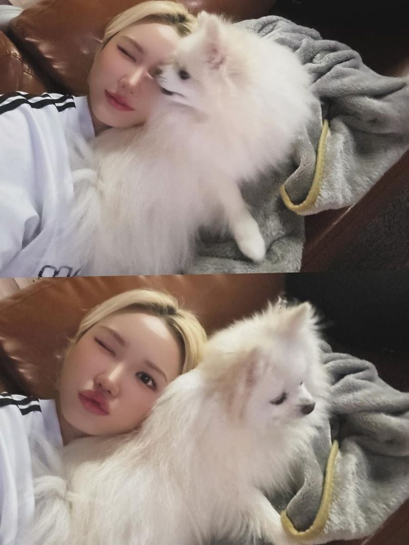 걸그룹 EXID 엘리 안효진 인스타그램