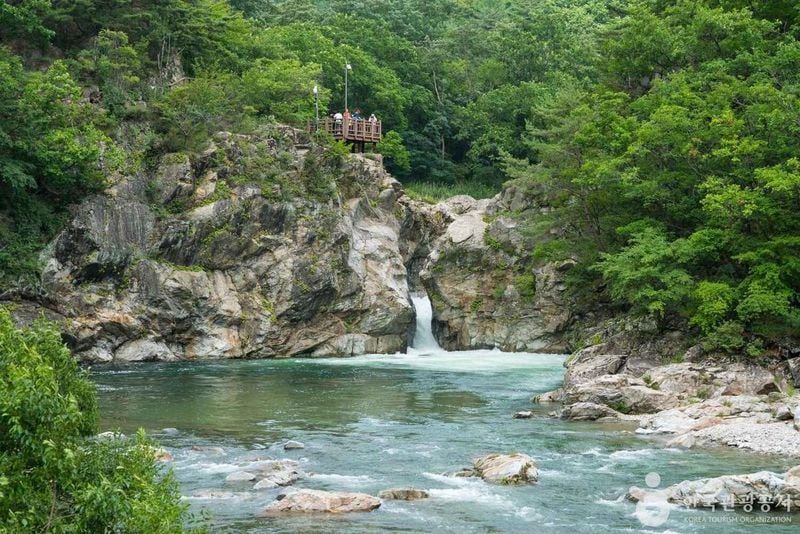 사진 = 포토코리아(한국관광공사) 양구군