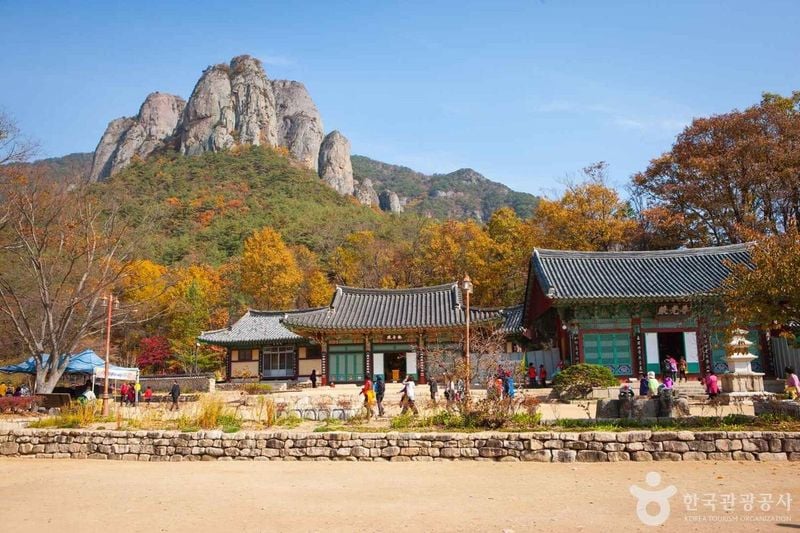 사진 = 포토코리아(한국관광공사) 청송