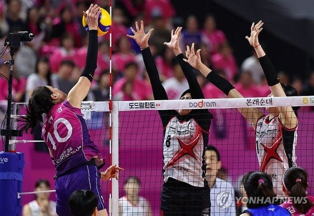 “국내 선수만 출전”…여자프로배구 컵대회 21일 개최 확정 / 연합뉴스
