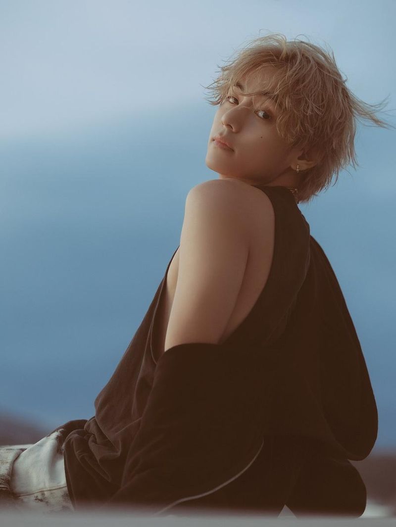 출처: 뷔 팬클럽