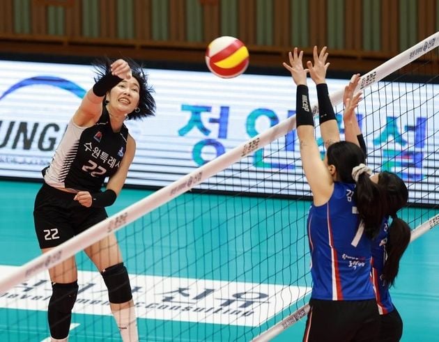 “6일간 최강 가린다”…종합선수권, 충북 단양서 20일 개막 / 연합뉴스