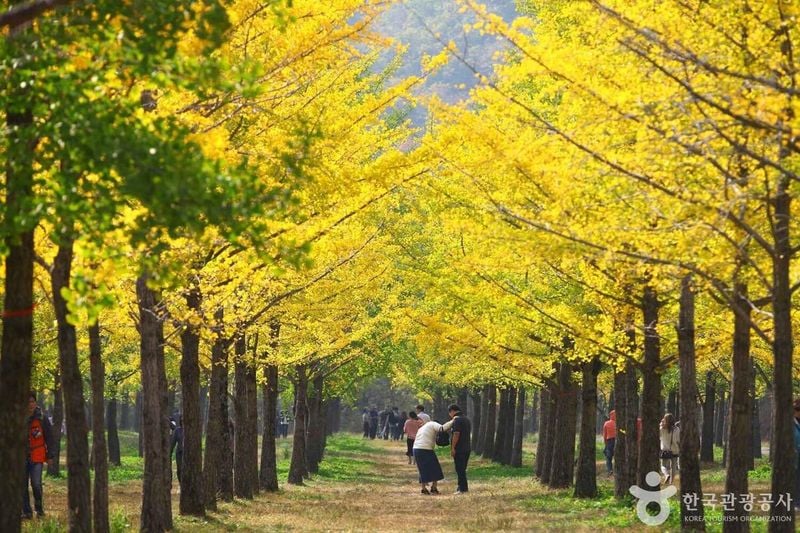 사진 = 포토코리아(한국관광공사) 홍천