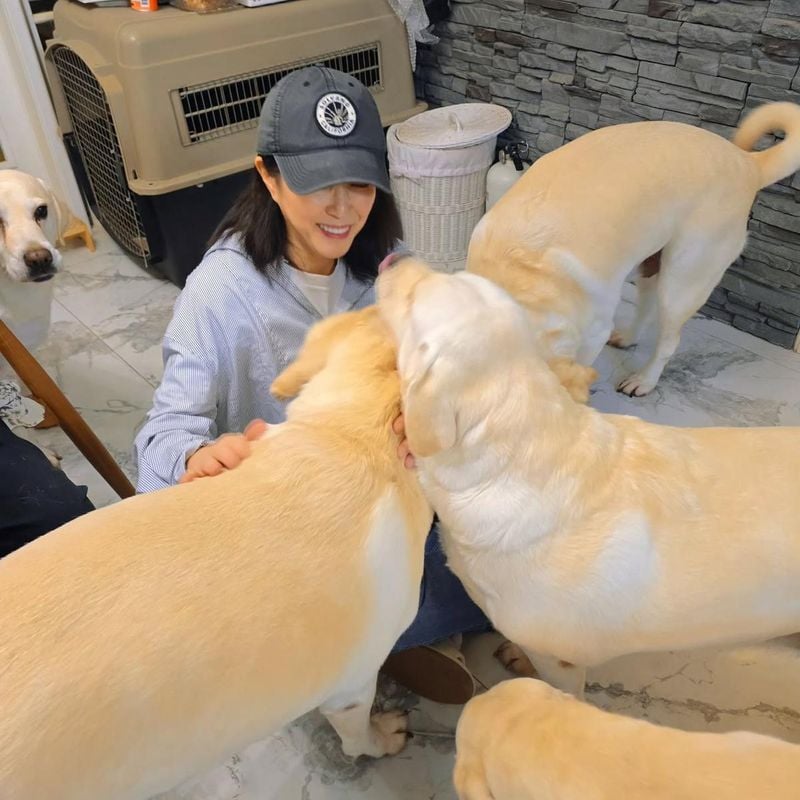 배우 김미경 인스타그램