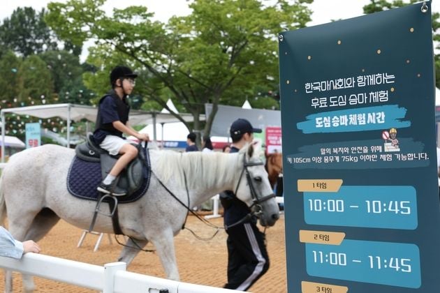 “도심 승마 체험”…한국마사회, 과천서 무료 승마 축제 개최 / 연합뉴스