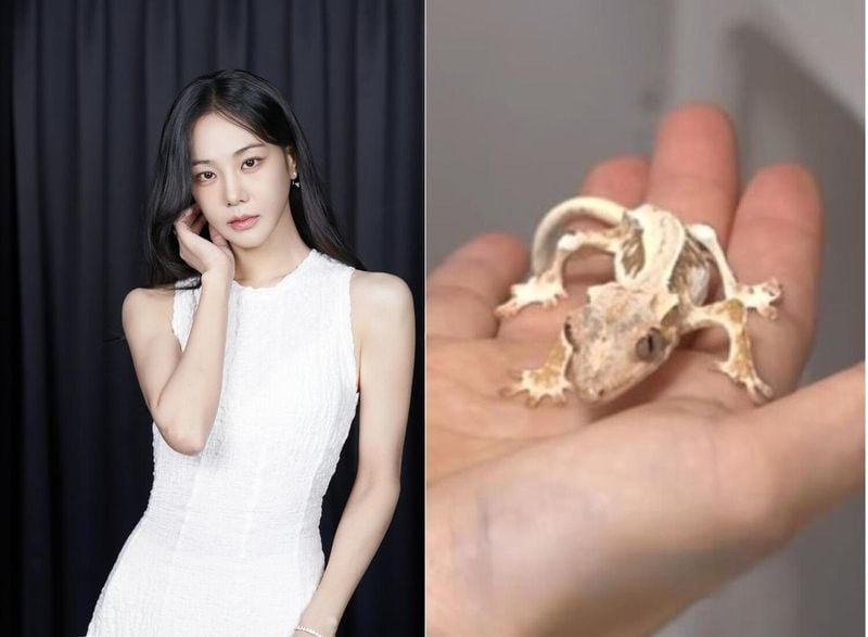 출처: MBC '전지적 참견 시점'
