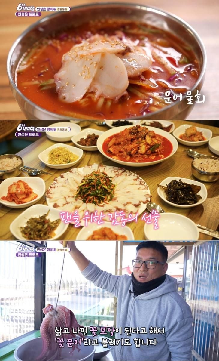 KBS ‘6시 내고향’ 방송 캡처