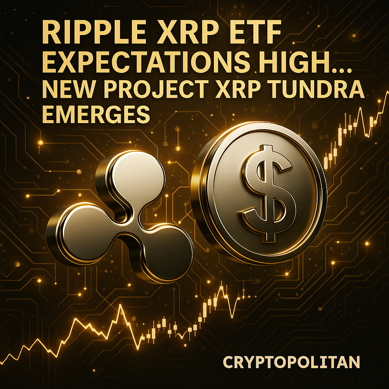 리플 XRP ETF 기대감 고조…병행된 신규 프로젝트 ‘XRP Tundra’ 부상