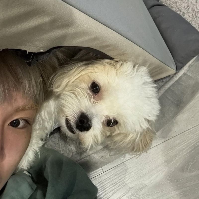 가수 황민우 인스타그램