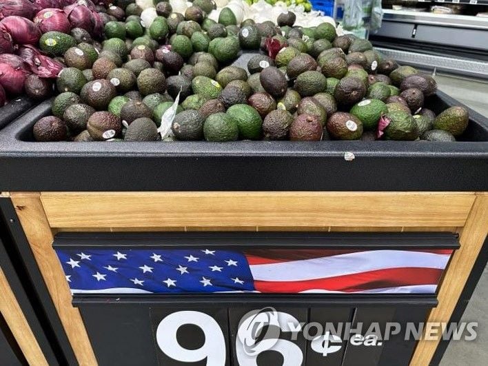 미국 식품 가격 3년 만에 최고 상승…관세·이민 단속 여파
