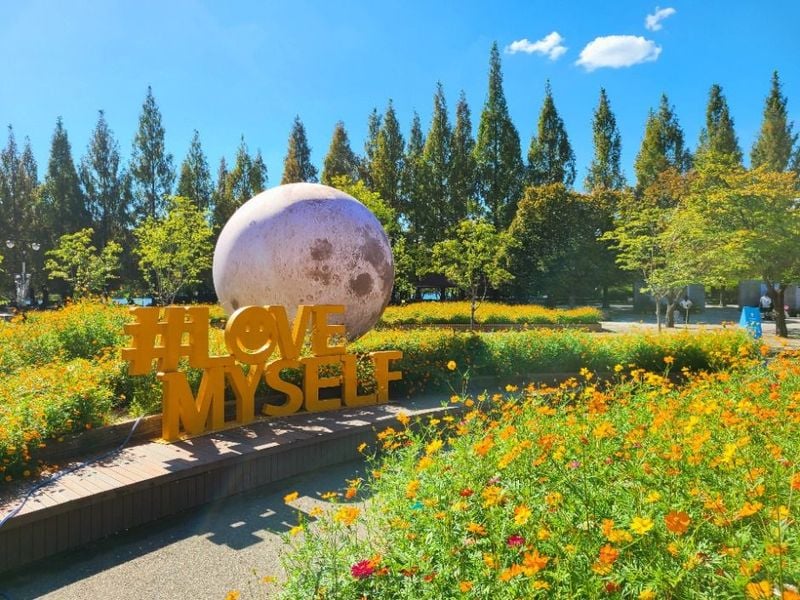 가을꽃길 산책부터 플라워마켓 체험까지…‘고양가을꽃축제’ 경기도 고양서 열린다