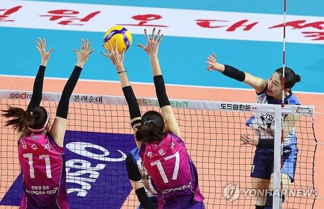 “육서영 17점 맹공”…기업은행, 정관장에 3-1 역전승 / 연합뉴스