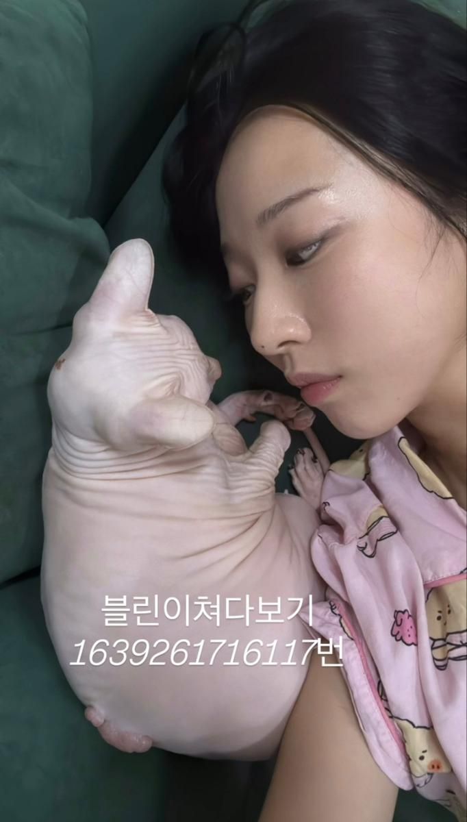 김선아 인스타그램