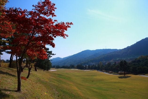 “62곳 휴장 없이 정상 운영”…국내 골프장, 추석 연휴 3일 연속 오픈 / 연합뉴스