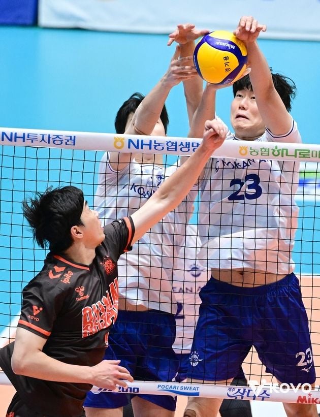 “FIVB 지침 여파”…한국·일본·이탈리아 배구리그 개막일 일제히 연기 / 연합뉴스