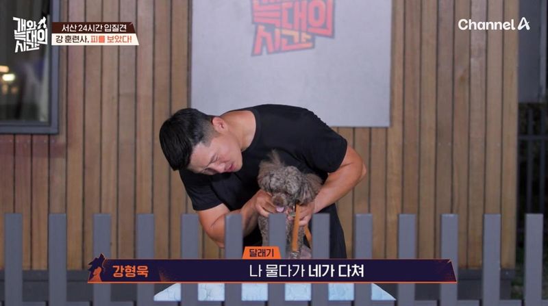 채널A ‘개와 늑대의 시간’