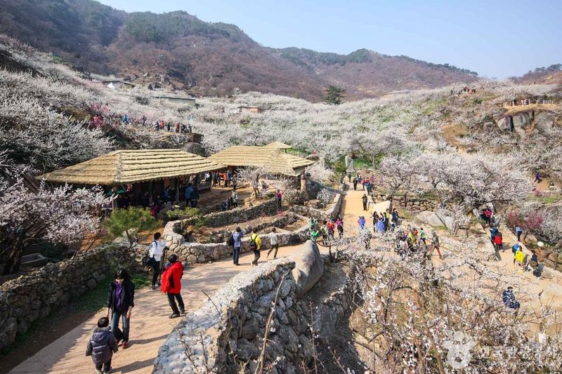 사진 = 포토코리아(한국관광공사) 광양시