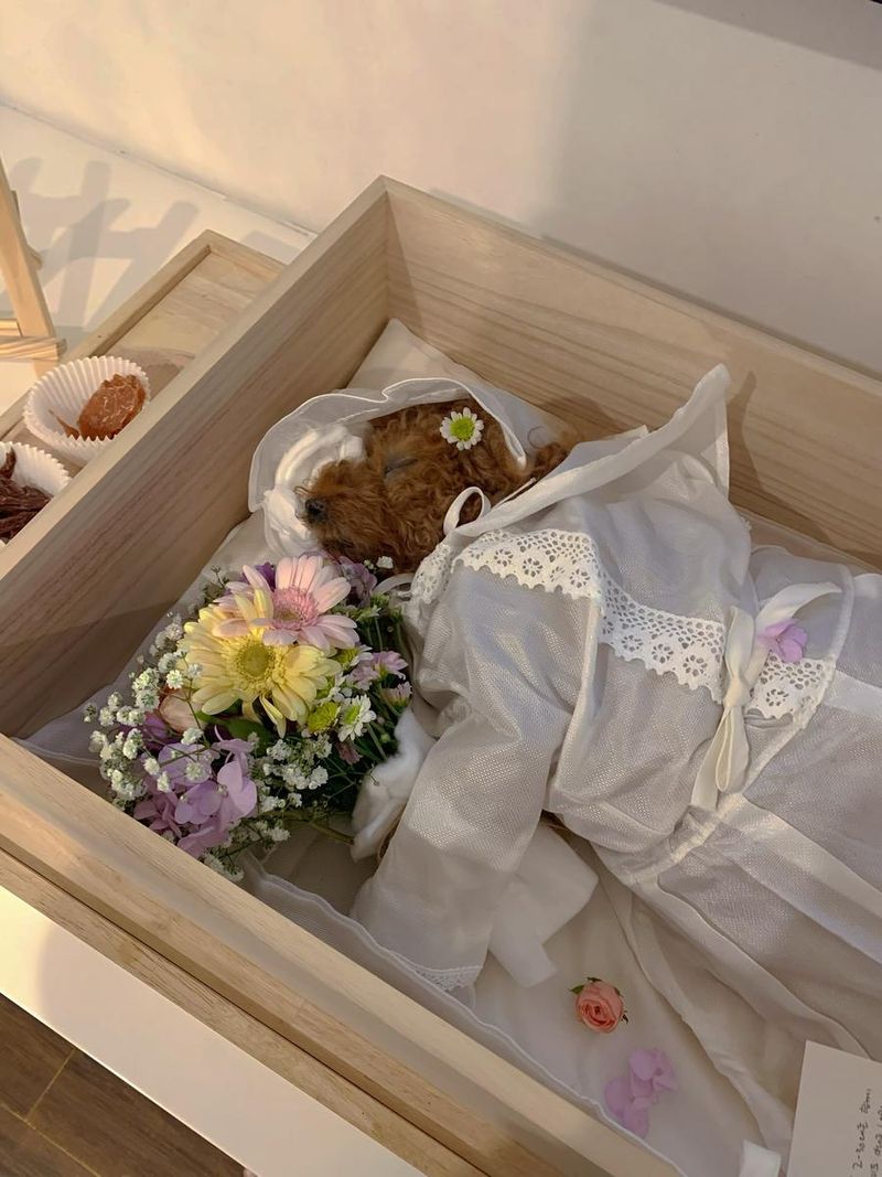 커플팰리스2 출연자 임시연 인스타그램